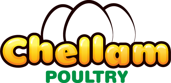 Chellam Poultry - Chellam poultry is the best place to get quality eggs in Tamilnadu (Namakkal).