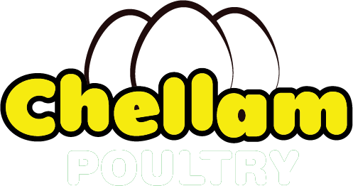 Chellam Poultry - Chellam poultry is the best place to get quality eggs in Tamilnadu (Namakkal).