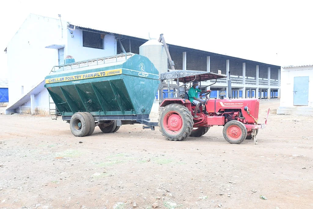 Chellam-poultry-12