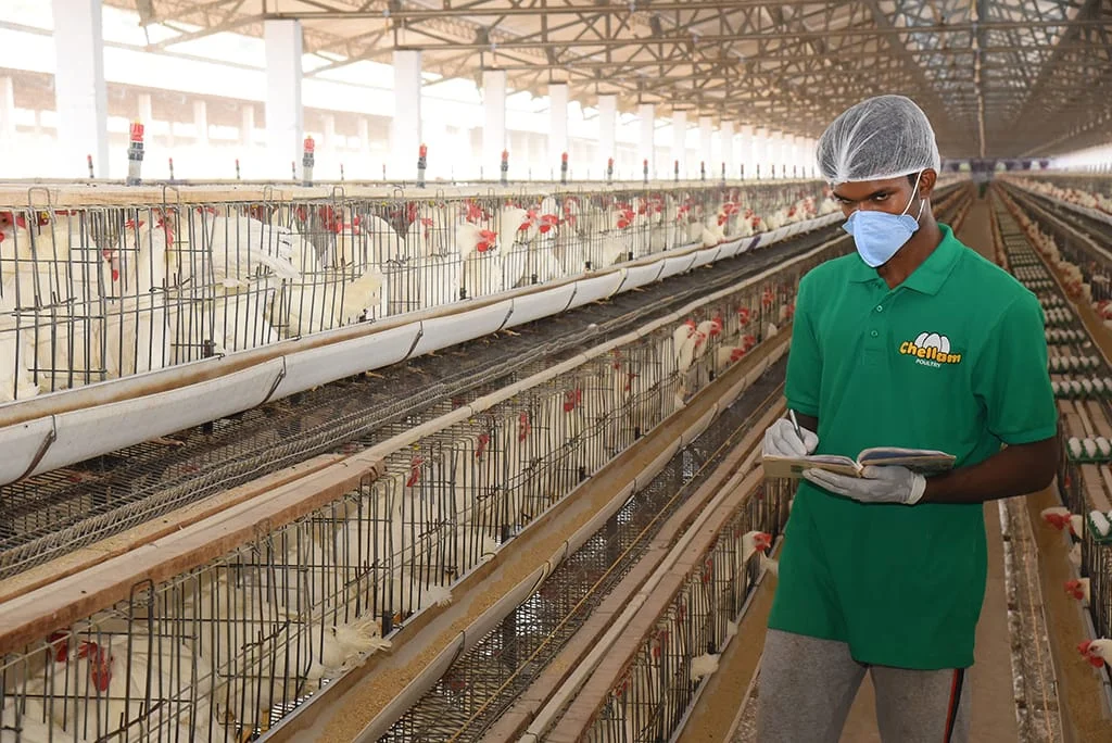 Chellam-poultry-25